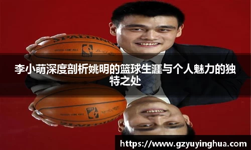 李小萌深度剖析姚明的篮球生涯与个人魅力的独特之处