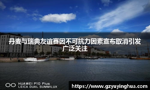 丹麦与瑞典友谊赛因不可抗力因素宣布取消引发广泛关注